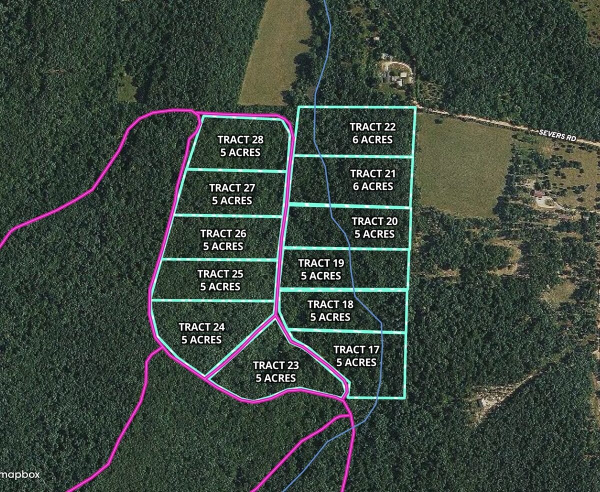 Cedar Gap Hollow East Aerial